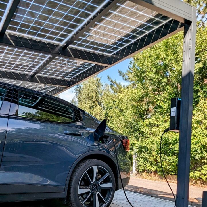 376537209_170905949370225_5561532881902923756_n